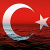 serdar8659