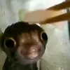 bobabubble.tea