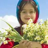 akram.pasa
