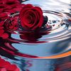 mohsinbhatti685