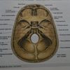 enciclopediavirtual