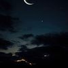 sahar_q4