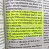 juniorebriante.1