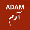 55.adam.adam