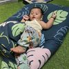bintang_ratu_bumi