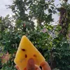 miekuahnak