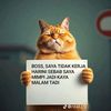 mrpisces88