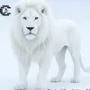 nkazi_c