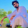 qameer_trair