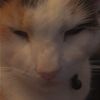 ermwhatthesnooz