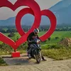 honle_rs150