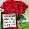 ahmedsikany