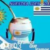 celsokunga