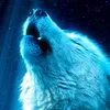 wolfleon0501