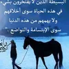 user6625733682060
