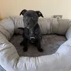 rileystaffie
