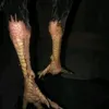 reddyberkah
