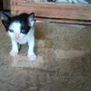 gabriellylopes068