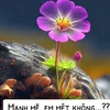 wwwtiktok.com.moc