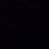 effoo83