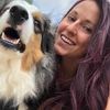 theapartmentdog