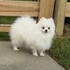joel_2969