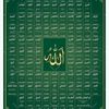 shaheen0381
