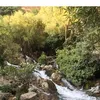 nouramohammed164