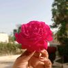 mirhadi080
