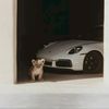bigboy.9110