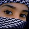 qalpisaafi65