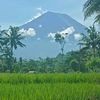 beras_hunter