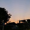 alief_rhamadasya