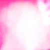 sha_wt_y6