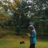 mangifera.indhy
