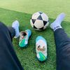 ha_ss_an79