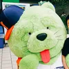 chanmiyo34