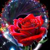 www.tiktok.usurname