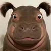 heyboydungdenganem98