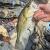 tuffishing479