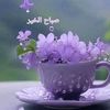 1aisha25
