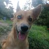 deni_0927