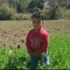badranam1
