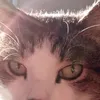 janemcleish0