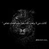 areenawab