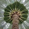 abu.saleh.ksa