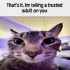 awkwardrtad