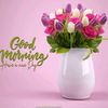 monayaser16