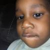 zilla_omb