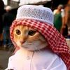 riefbudianto